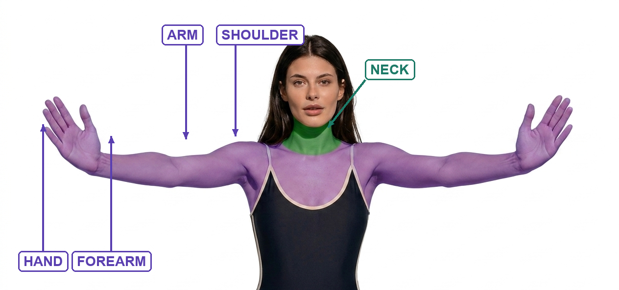 Arm, forearm, hand and shoulder labeled in purple